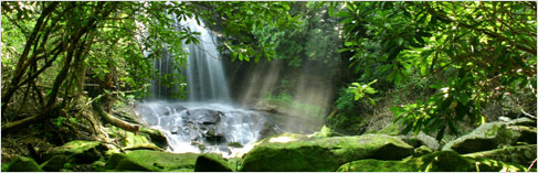 www.miracle.theultimatecloth.com Ecofriendly Solutions
